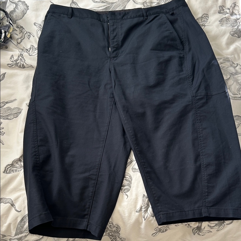 Anthropologie Barrel dress pants